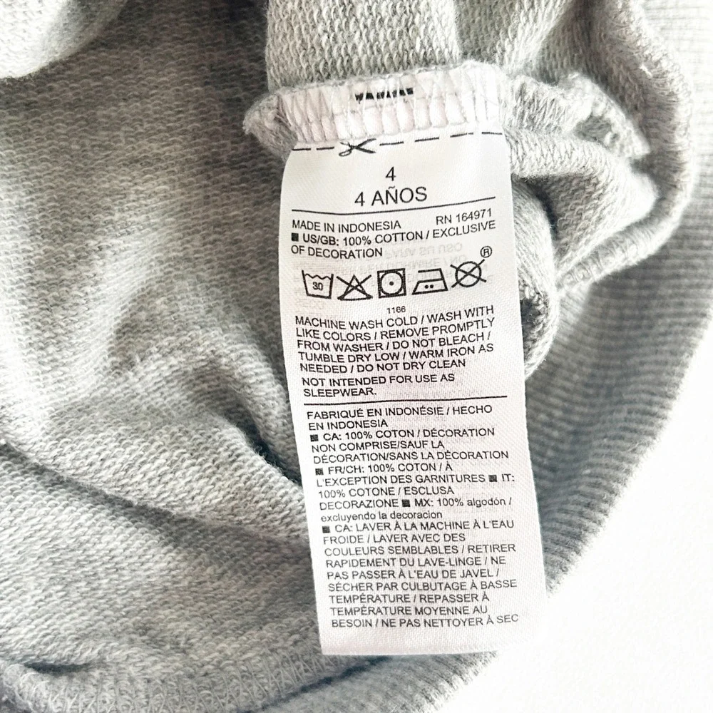 Janie and Jack Girls Floral Embroidered Ruffle Shabby Chic Sweatshirt Size‎ 4
